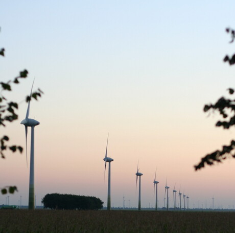 De polder bij zonsondergang