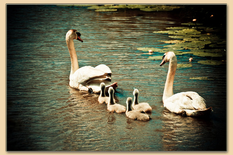 Treintje ging uit varen...