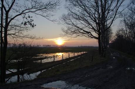 zonsondergang in de Groote Peel