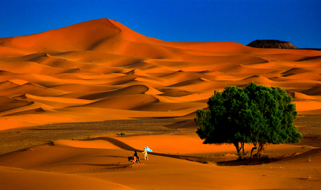 Golden Dunes