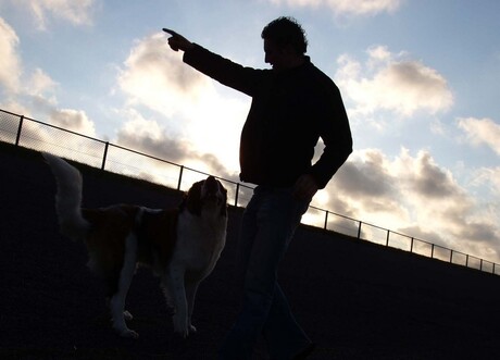 Schaduw broer &amp; hond