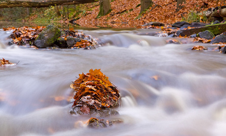 herfst 2012