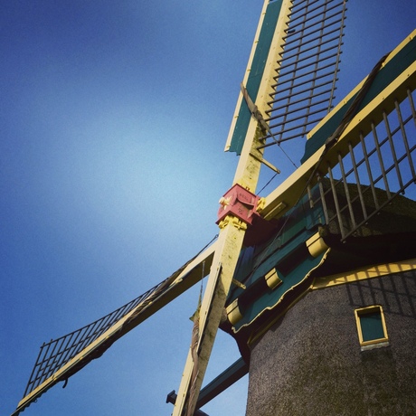 Molen