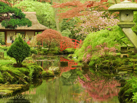 Japanse tuin