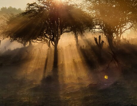 AWD mysterieus landschap