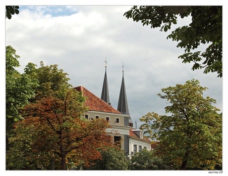 herfstkleuren ..