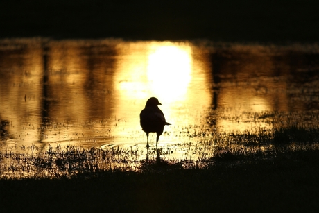 zonsondergang