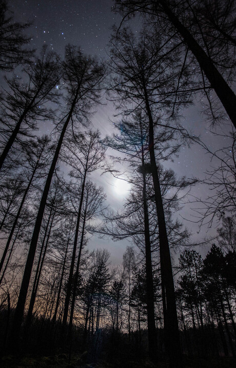 Nacht fotografie