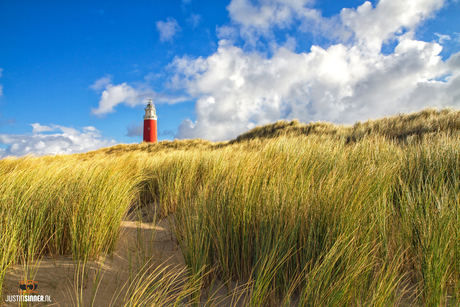 Texels Duinlandschap.