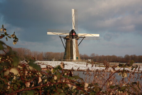 Molen bij Rotterdam.