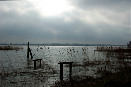 Biesbosch