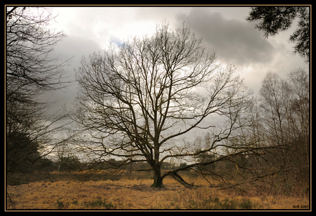 Winterheide