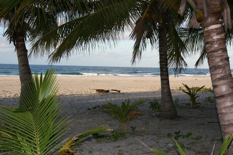 Strand Mozambique