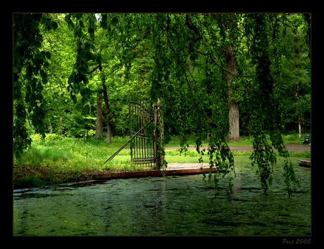 Lichtval in het park