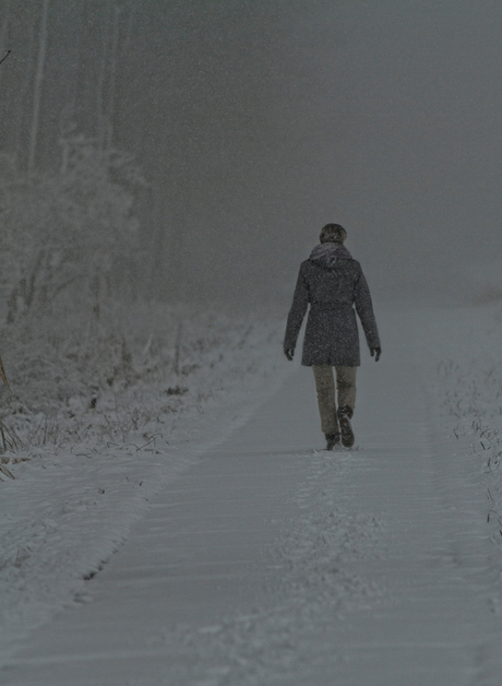 Natuur 10, Oostvaarders Plassen