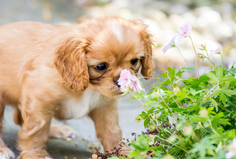 Who can resist me ??