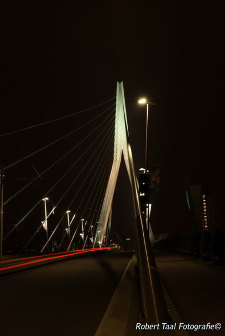 Erasmusbrug at Night
