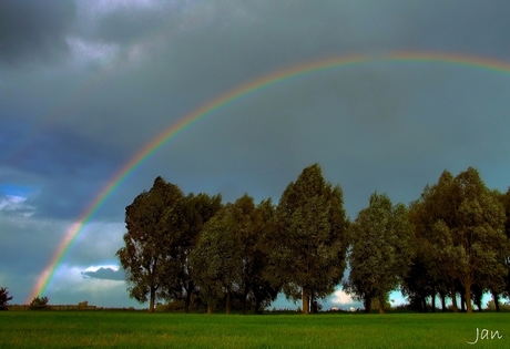 The Rainbow