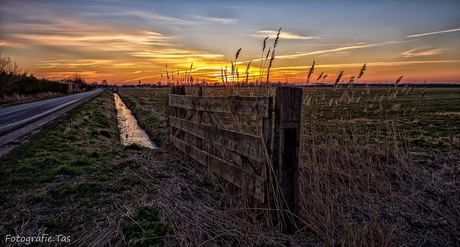 Een weiland, een hekje, een slootje en de zonsopgang :-)