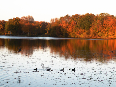 herfst