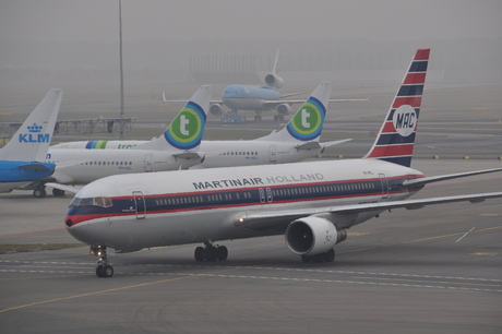 Martinair, Transavia en KLM
