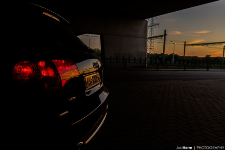 Audi enjoying the sunset.