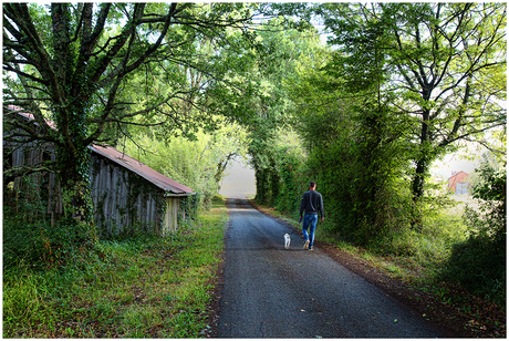 Ochtendwandeling