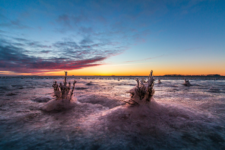 magisch winter zonsopgang