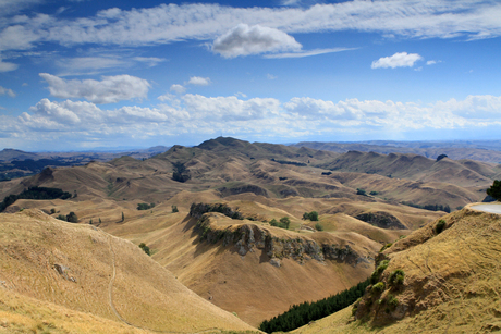 Te Mata Peak