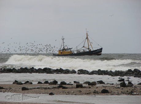 Ameland