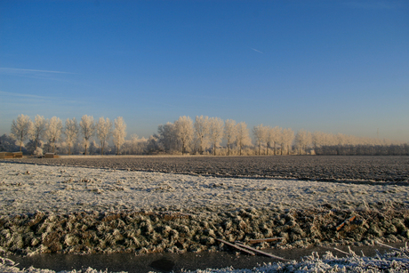 Winter in Zoetermeer