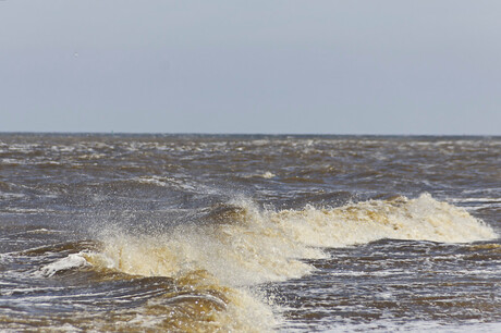 zee bij Texel