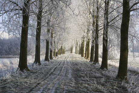 Winterlandschap