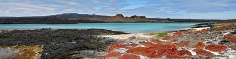 Panorama Galapagos