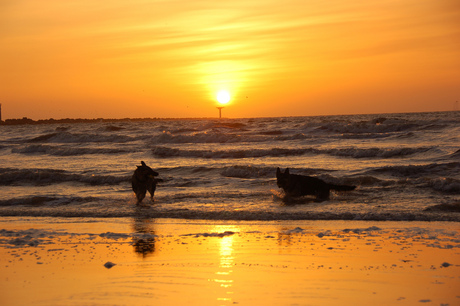 atmaya en hakyra bij zonsondergang hvh