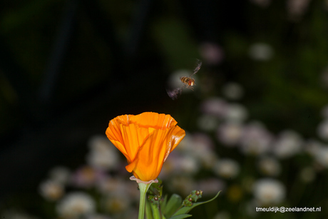 Ready for landing