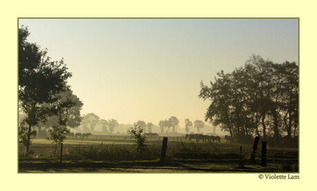 Een ochtend in IJhorst