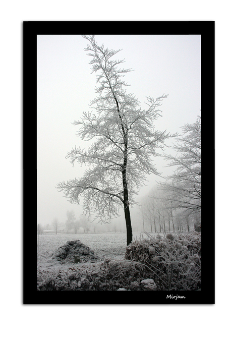 Winterlandschap