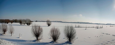 Winterlandschap