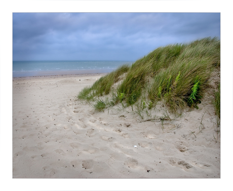 Enchanted Beach