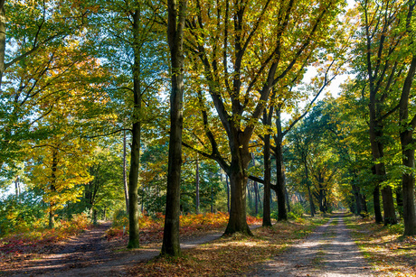 Den Treek-Henschoten - The Netherlands