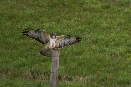 Zachte landing