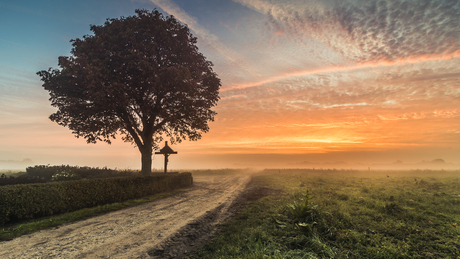 Mistige ochtend Het Groot Veld