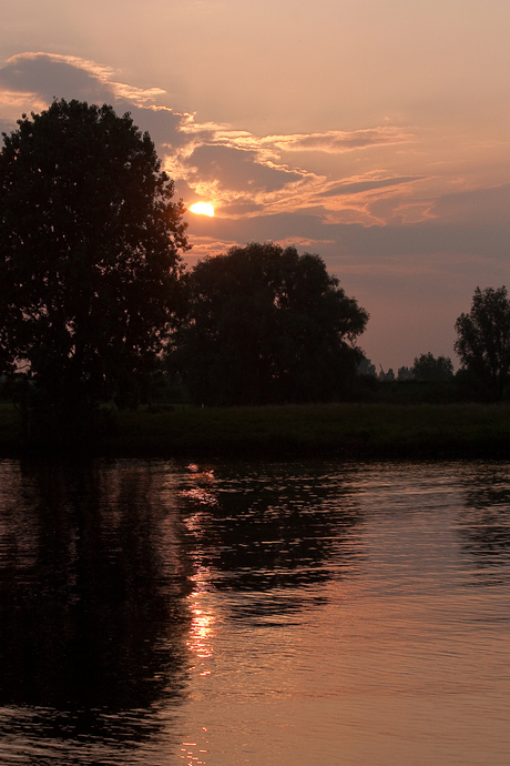 Uiterwaarden van de maas