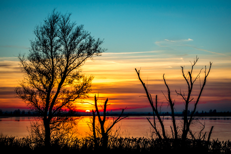 Sunset knarrdijk Lelystad