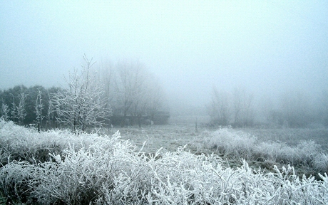 In de mist bewerkt