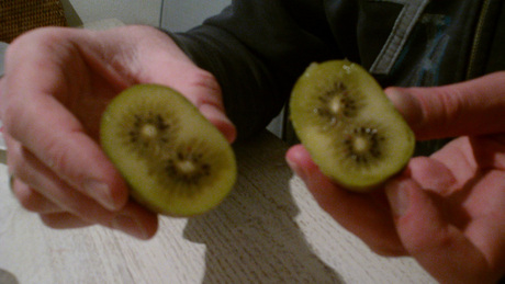 De Kiwi