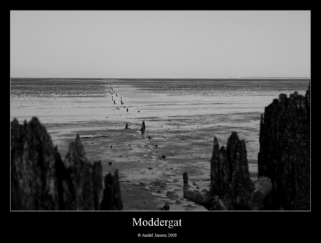 Moddergat