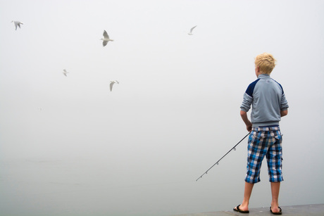 Vissen in de mist