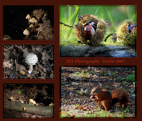 Herfstcollage